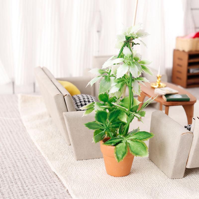 1/12 인형집 시뮬레이션 녹색 식물 분재 모델 인형집 - Bonsai Gardener 리뷰 및 가격