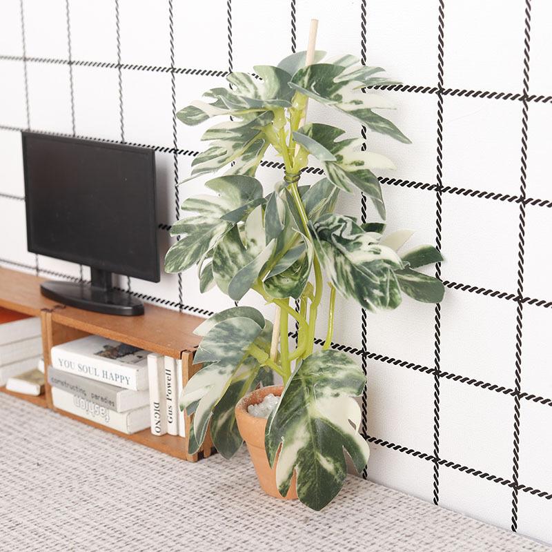 1/12 인형집 시뮬레이션 녹색 식물 분재 모델 인형집 - Bonsai Gardener 리뷰 및 가격