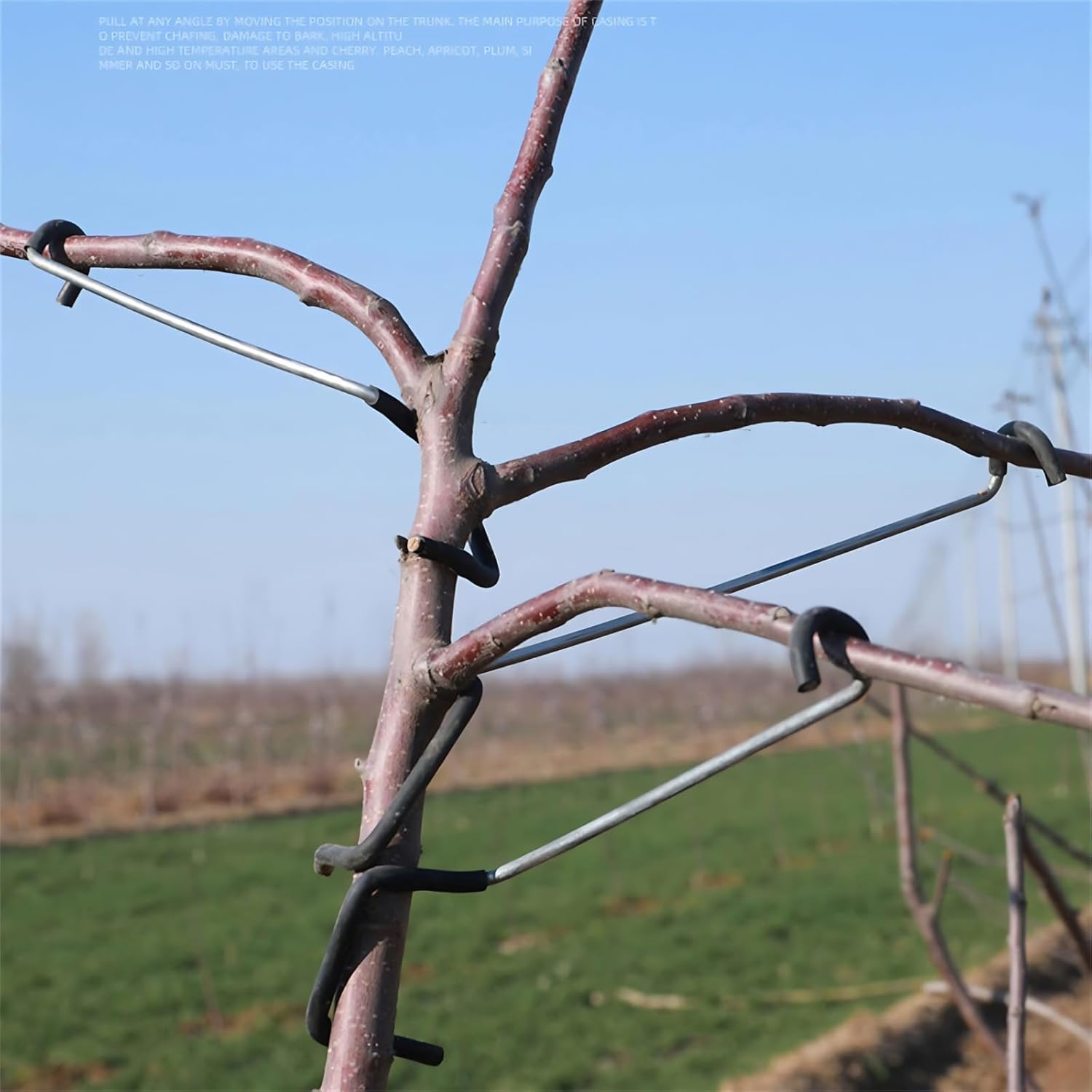 조절 가능한 과일나무 가지 성형기 (측면 가지 굽힘 및 - Bonsai Gardener 리뷰 및 가격