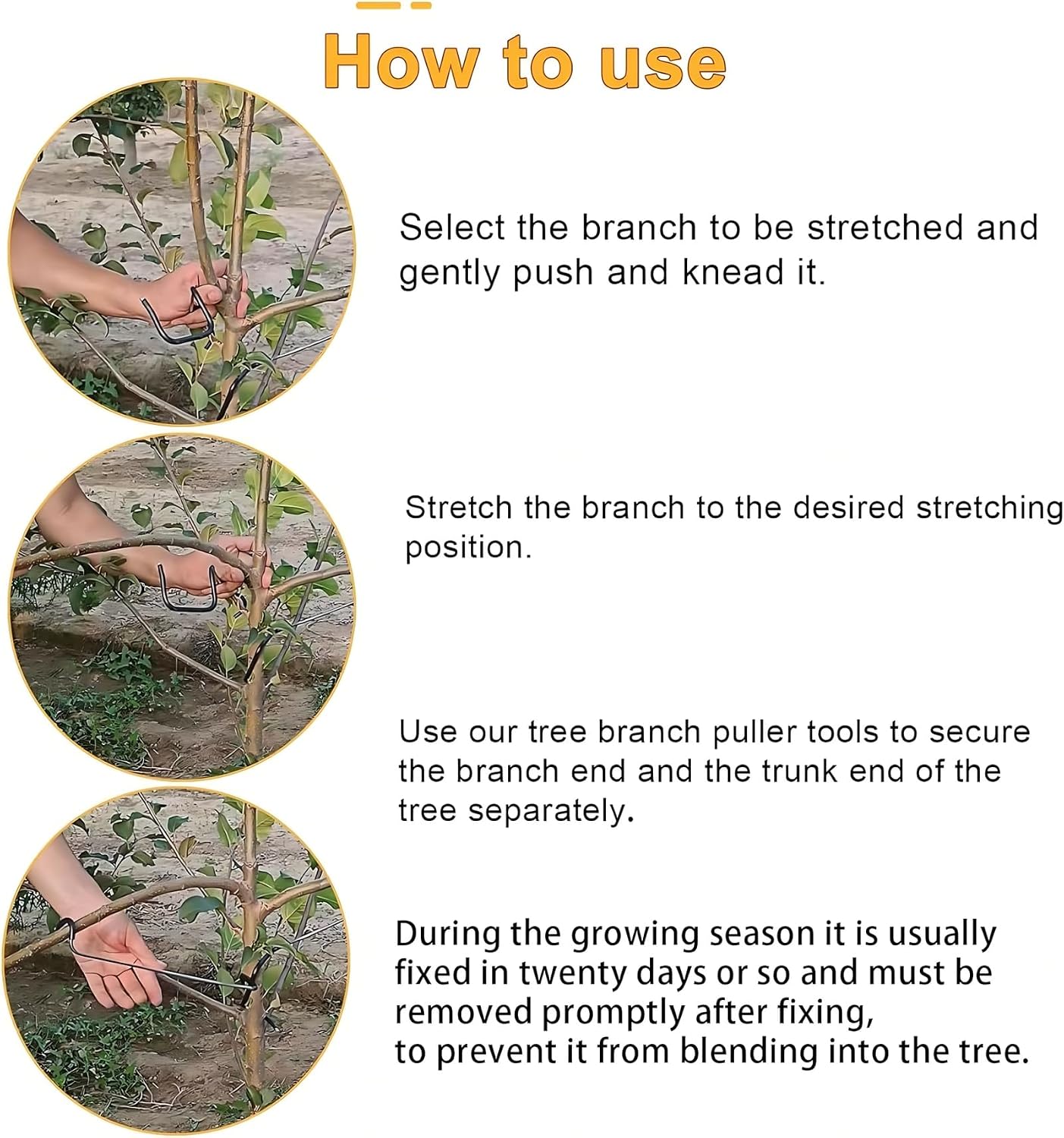 조절 가능한 과일나무 가지 성형기 (측면 가지 굽힘 및 - Bonsai Gardener 리뷰 및 가격
