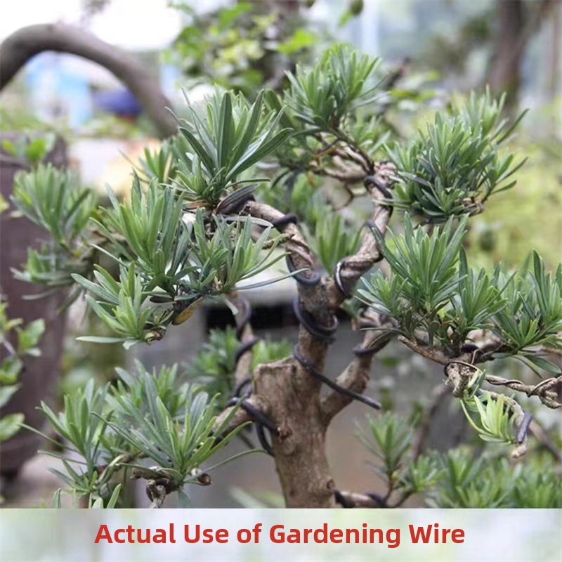 1.5MM 분재 와이어 알루미늄 분재 훈련용 와이어 모 - Bonsai Gardener 리뷰 및 가격